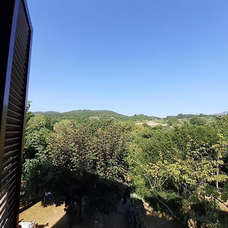 Villa Le Palmine Palazzone Екстериор снимка