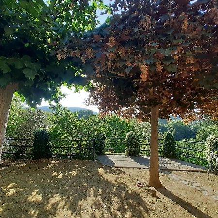 Villa Le Palmine Palazzone Екстериор снимка