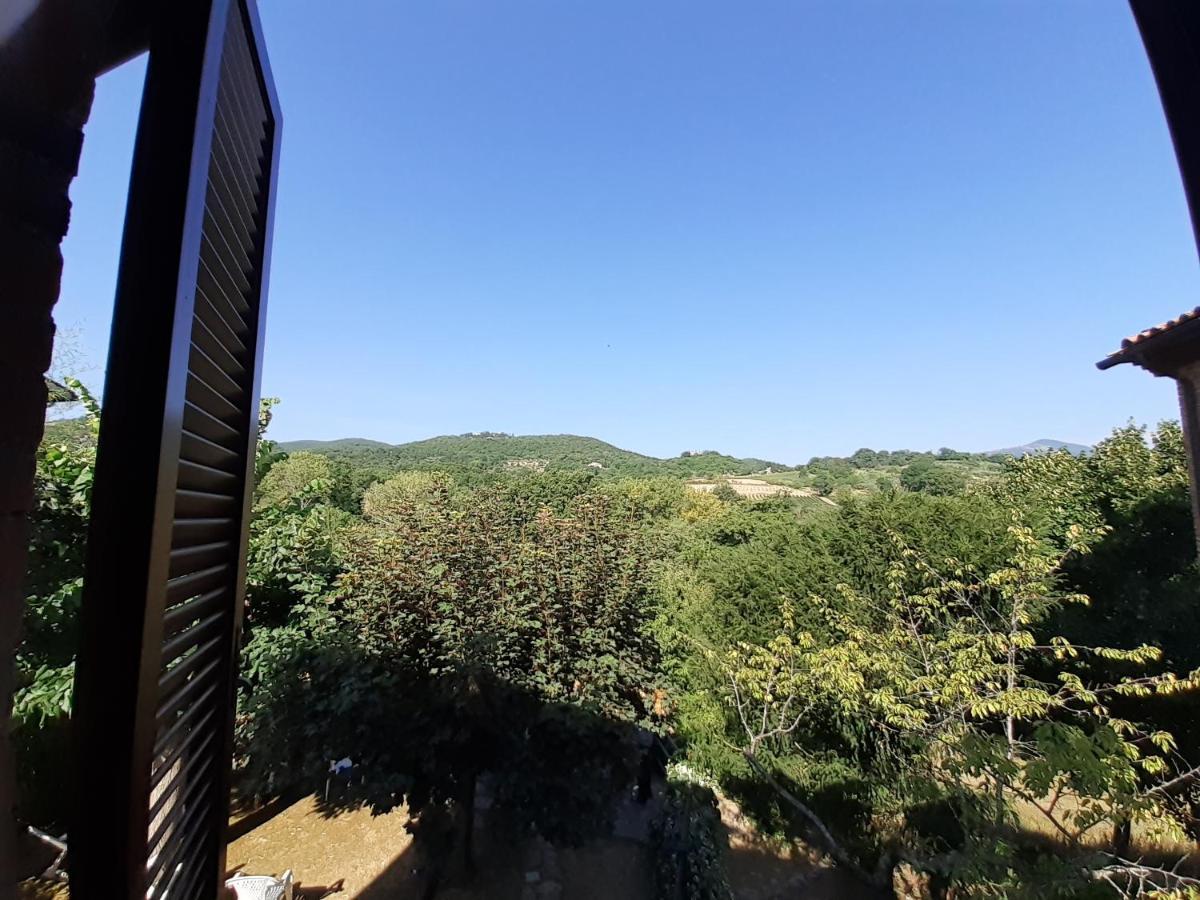 Villa Le Palmine Palazzone Екстериор снимка