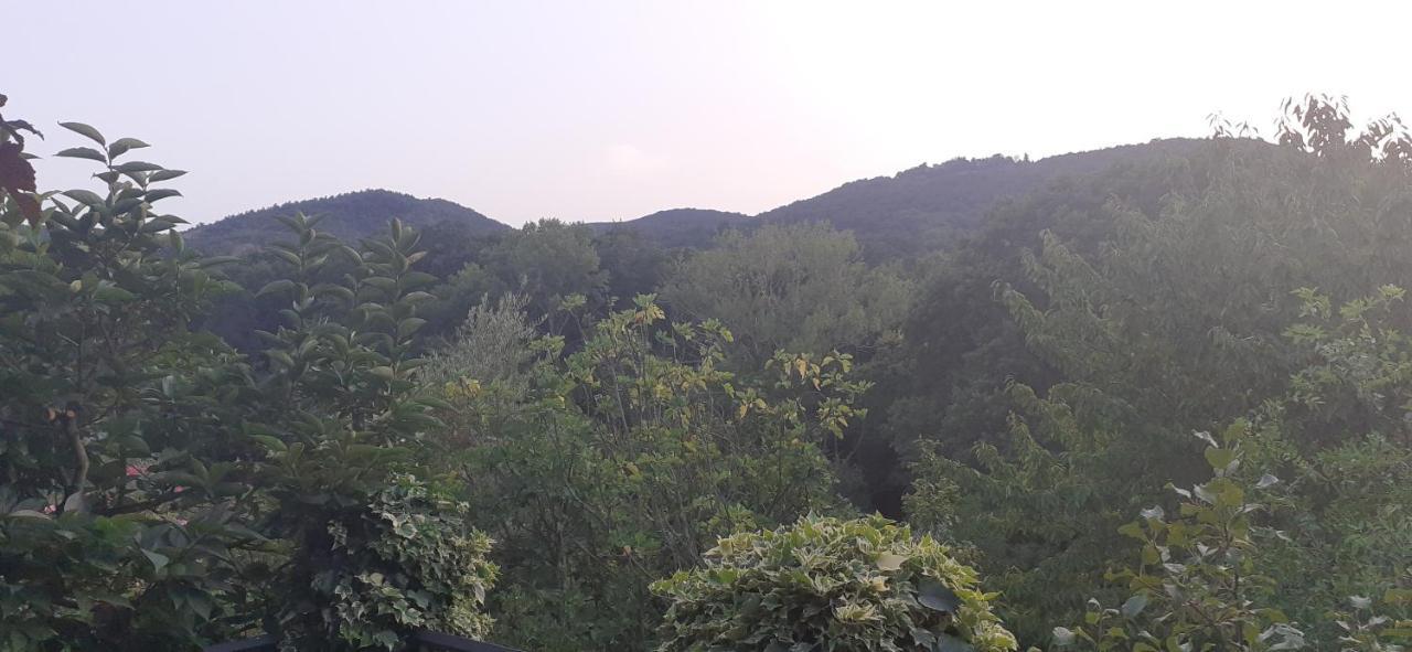 Villa Le Palmine Palazzone Екстериор снимка