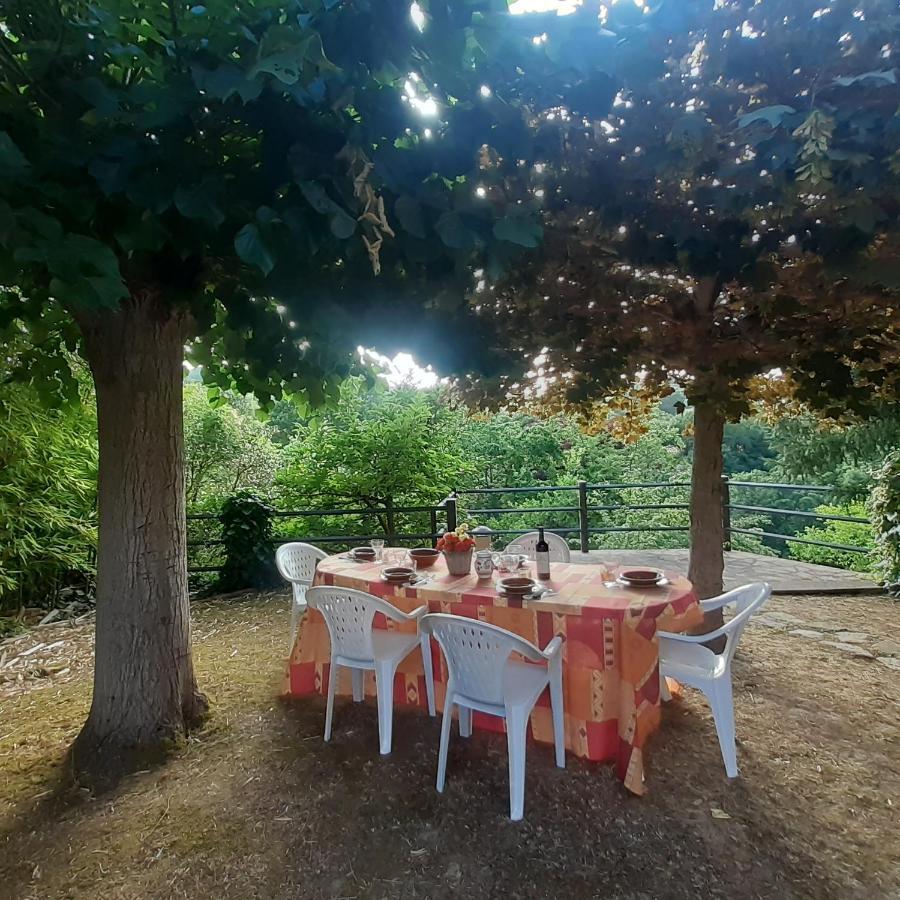 Villa Le Palmine Palazzone Екстериор снимка