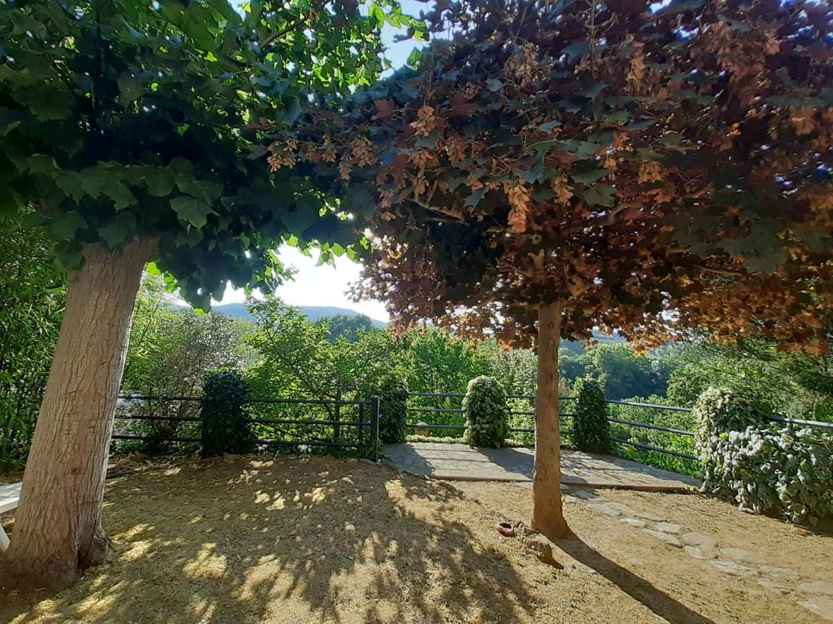 Villa Le Palmine Palazzone Екстериор снимка