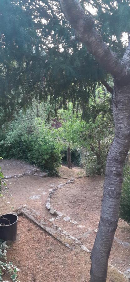 Villa Le Palmine Palazzone Екстериор снимка