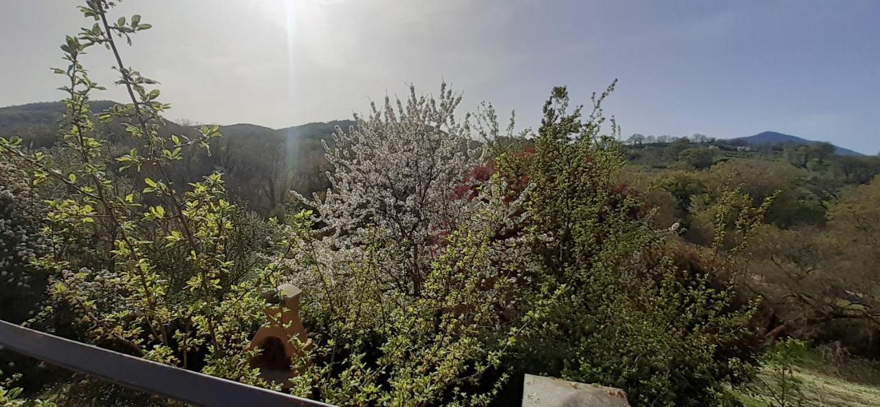 Villa Le Palmine Palazzone Екстериор снимка