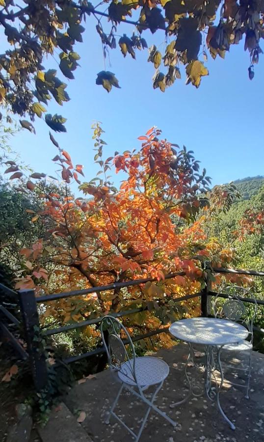 Villa Le Palmine Palazzone Екстериор снимка